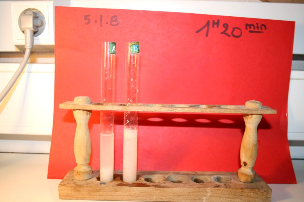 gal/LES_CINQUIEMES/ACTIVITE DIGESTION IN VITRO/Groupe_03/Groupe03_t_01h20min/Groupe03_temps01H20min_20.jpg
